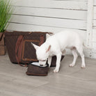 Wilton Pet/Dog Carrier - Brown Dog Carrier with matching fold out travel bowl made by Scruffs®