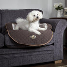 Wilton Sofa Bed - Brown Dog Bed Scruffs®