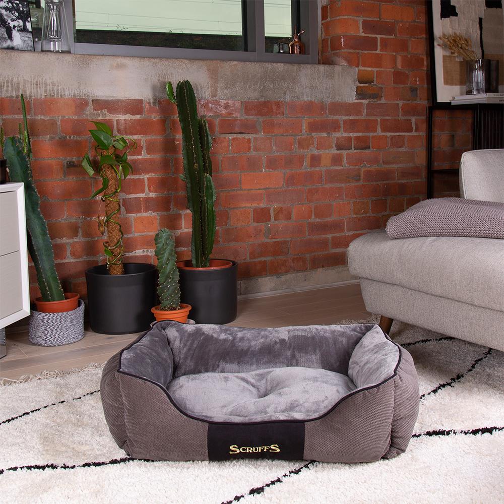 Chester Box Dog Bed - Graphite Grey Dog Bed Scruffs®