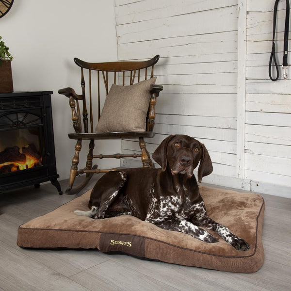 Chester Mattress - Chocolate Brown Dog Bed Scruffs®