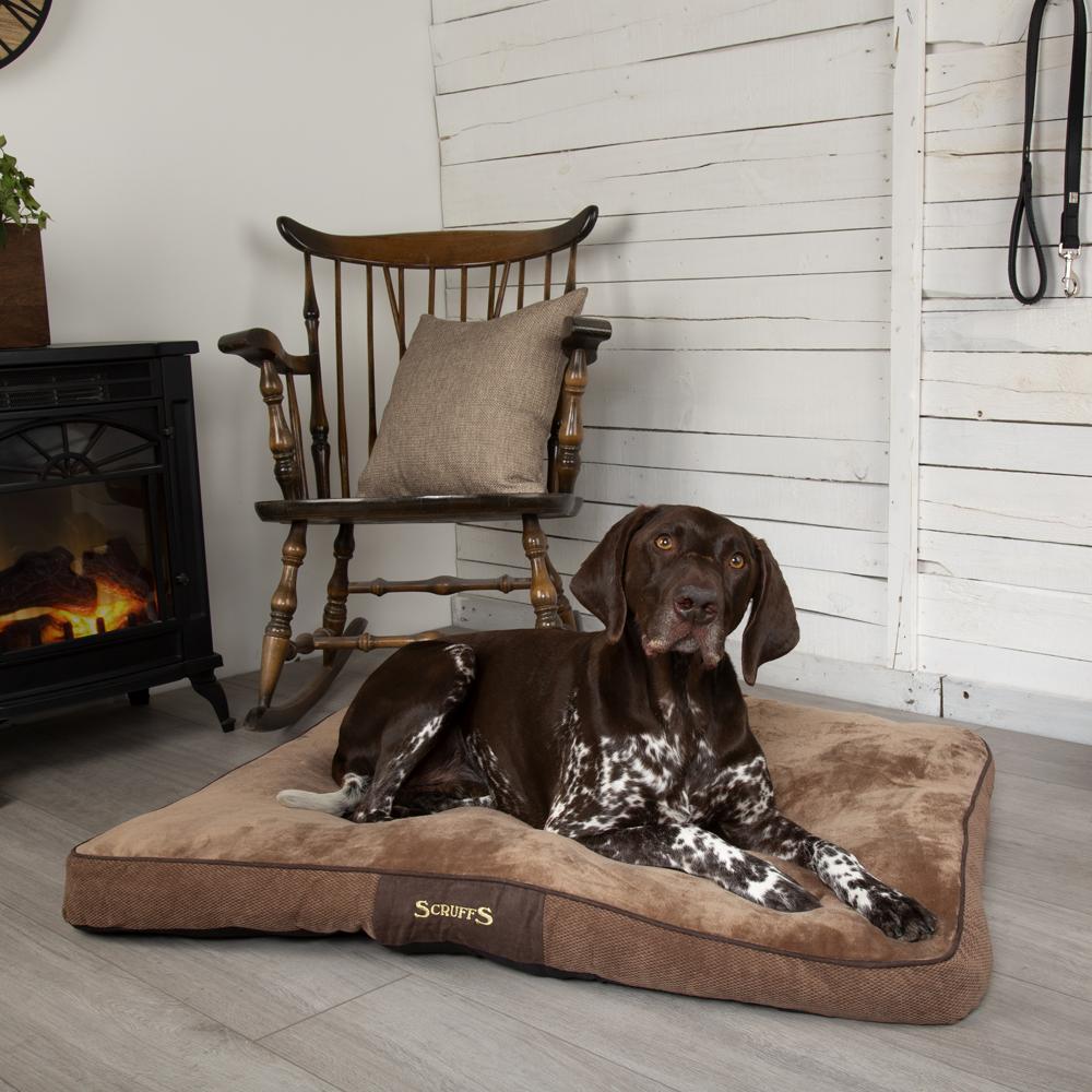 Chester Mattress - Chocolate Brown Dog Bed Scruffs®