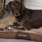 Chester Mattress - Chocolate Brown Dog Bed Scruffs®