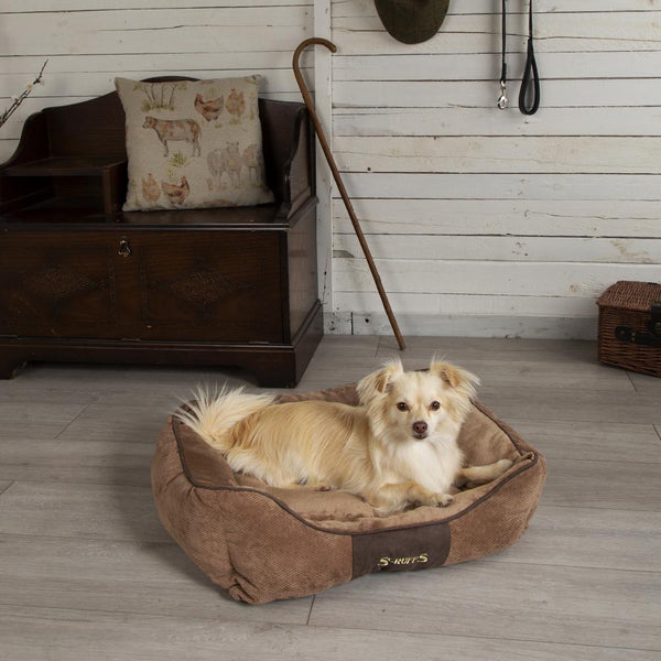Chester Box Dog Bed - Chocolate Brown Dog Bed Scruffs®