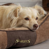 Chester Box Dog Bed - Chocolate Brown Dog Bed Scruffs®