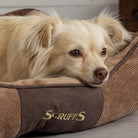 Chester Box Dog Bed - Chocolate Brown Dog Bed Scruffs®