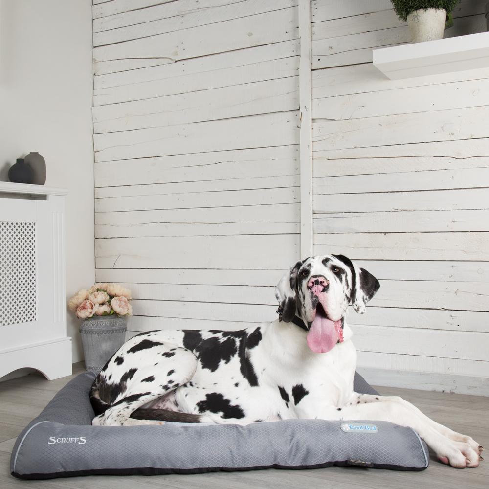 Cool Dog Bed - Grey Cooling Mat Scruffs®