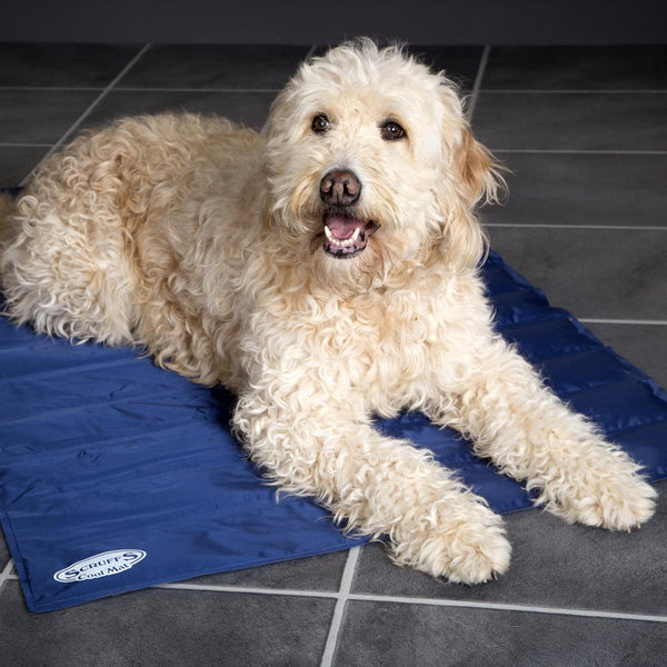 Cool Mat - Blue Cooling Mat for dogs by Scruffs®