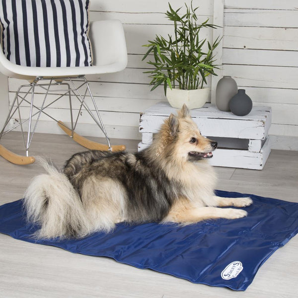 Cool Mat - Blue Cooling Mat for dogs by Scruffs®