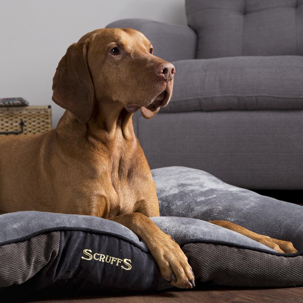 Chester Mattress - Graphite Grey Dog Bed Scruffs®