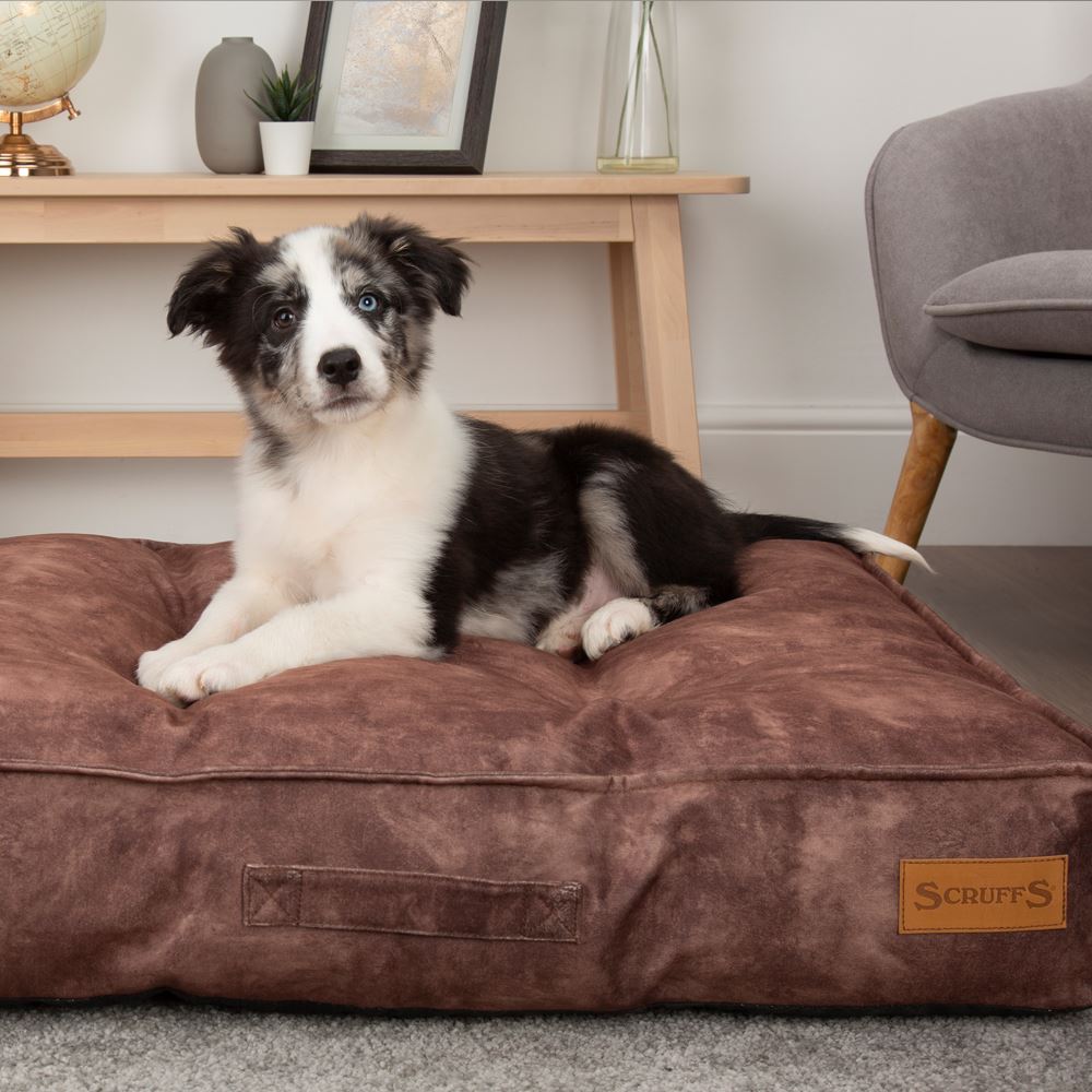 Kensington Mattress - Chocolate Dog Bed Scruffs®