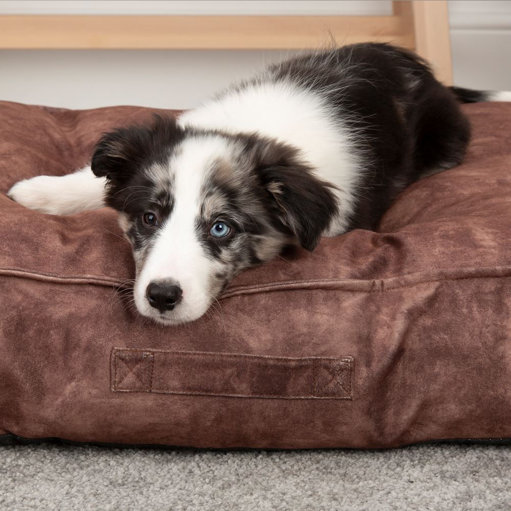 Kensington Mattress - Chocolate Dog Bed Scruffs®