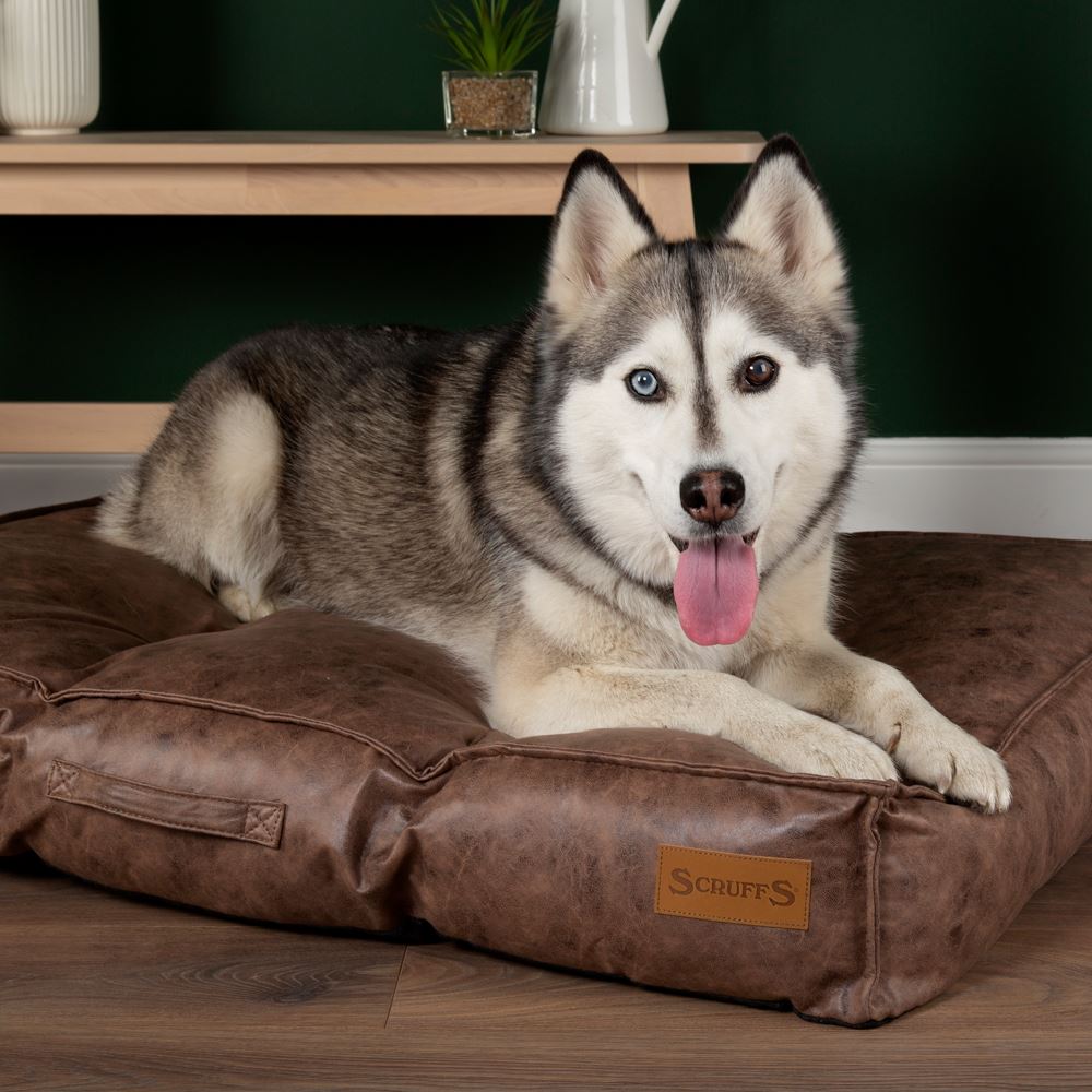 Knightsbridge Mattress - Chocolate Dog Bed Scruffs®