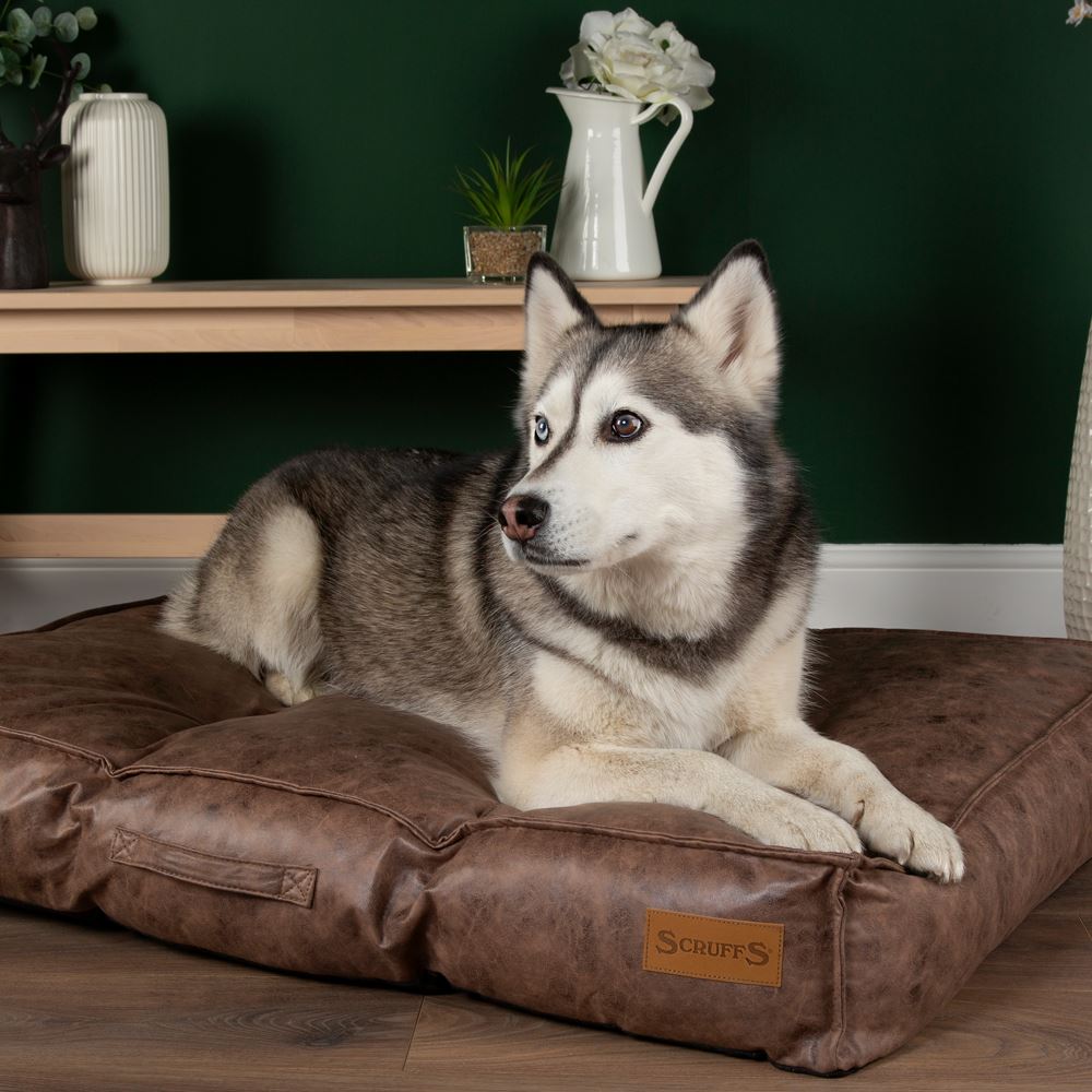 Knightsbridge Mattress - Chocolate Dog Bed Scruffs®