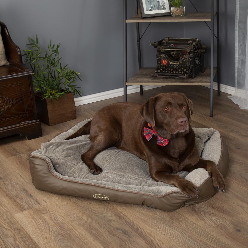 Chateau Box Bed - Latte Dog Bed Scruffs®