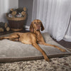 Chateau Orthopaedic Dog Mattress - Latte Dog Bed Scruffs® 