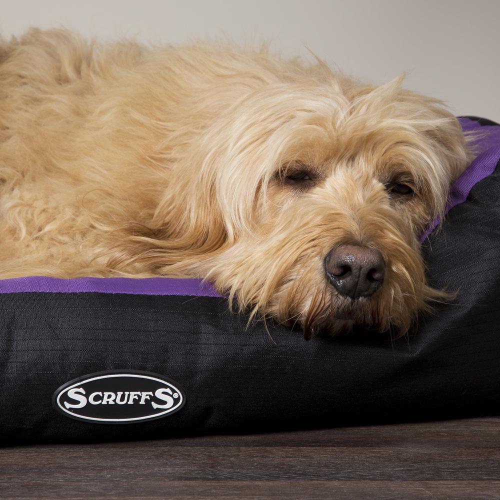 Expedition Box Bed - Plum Dog Bed Scruffs®