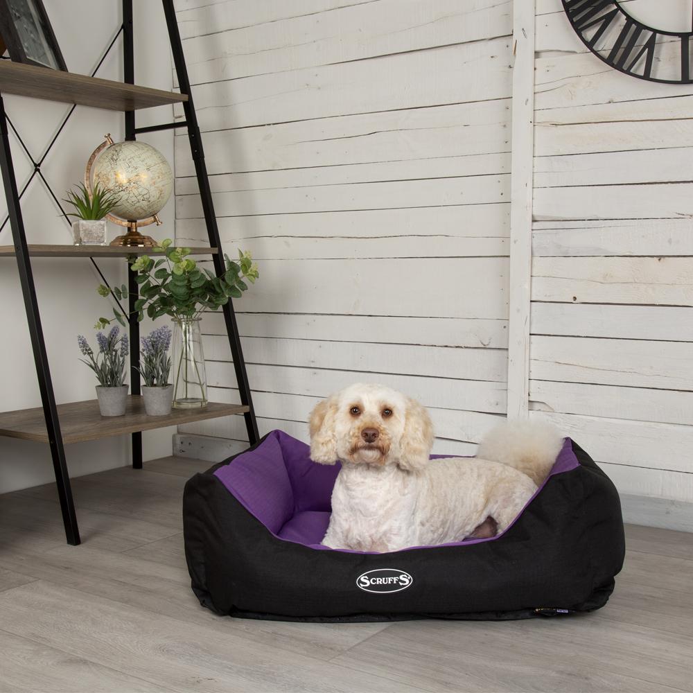 Expedition Box Bed - Plum Dog Bed Scruffs®