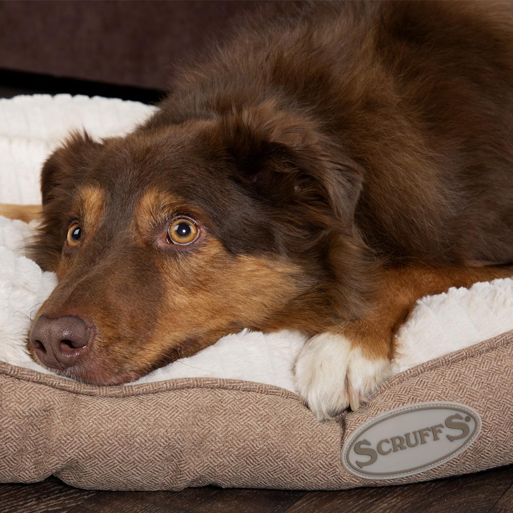 Ellen Dog Mattress - Tan Dog Bed Scruffs®