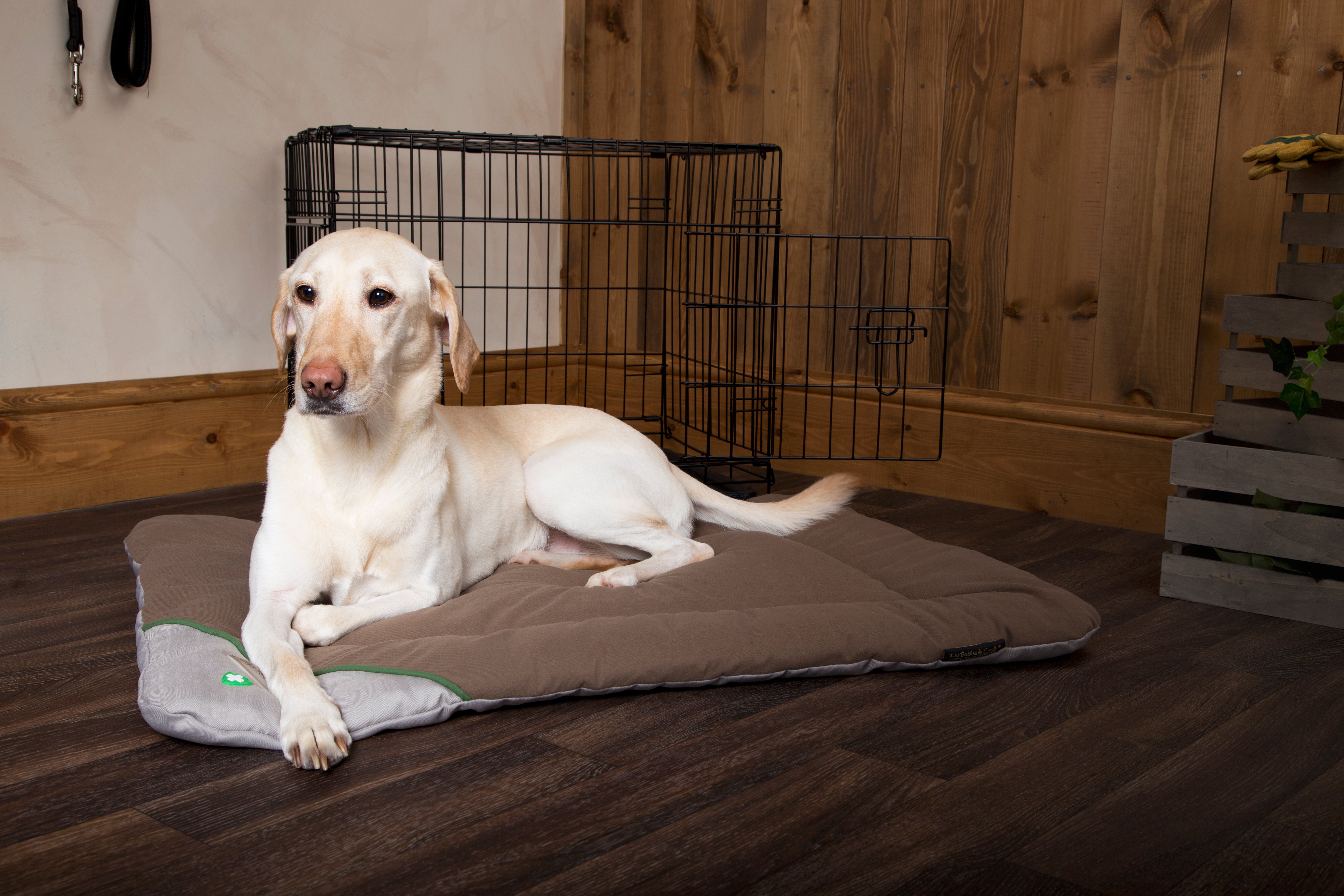 Scruffs Insect Shield Crate Mat