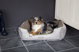 Keep The Bugs at Bay! Win a Free Dog Bed from Scruffs® this April