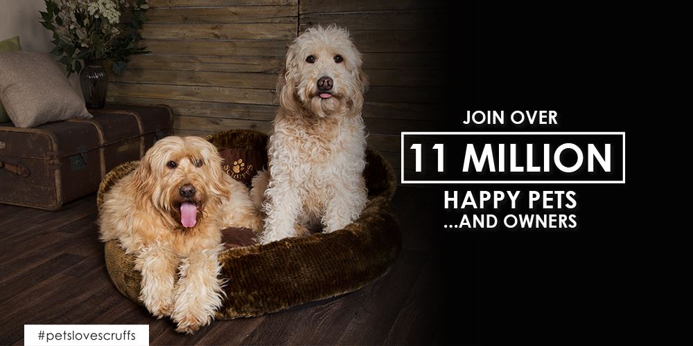 Win the Scruffs® bed of your choice this April!