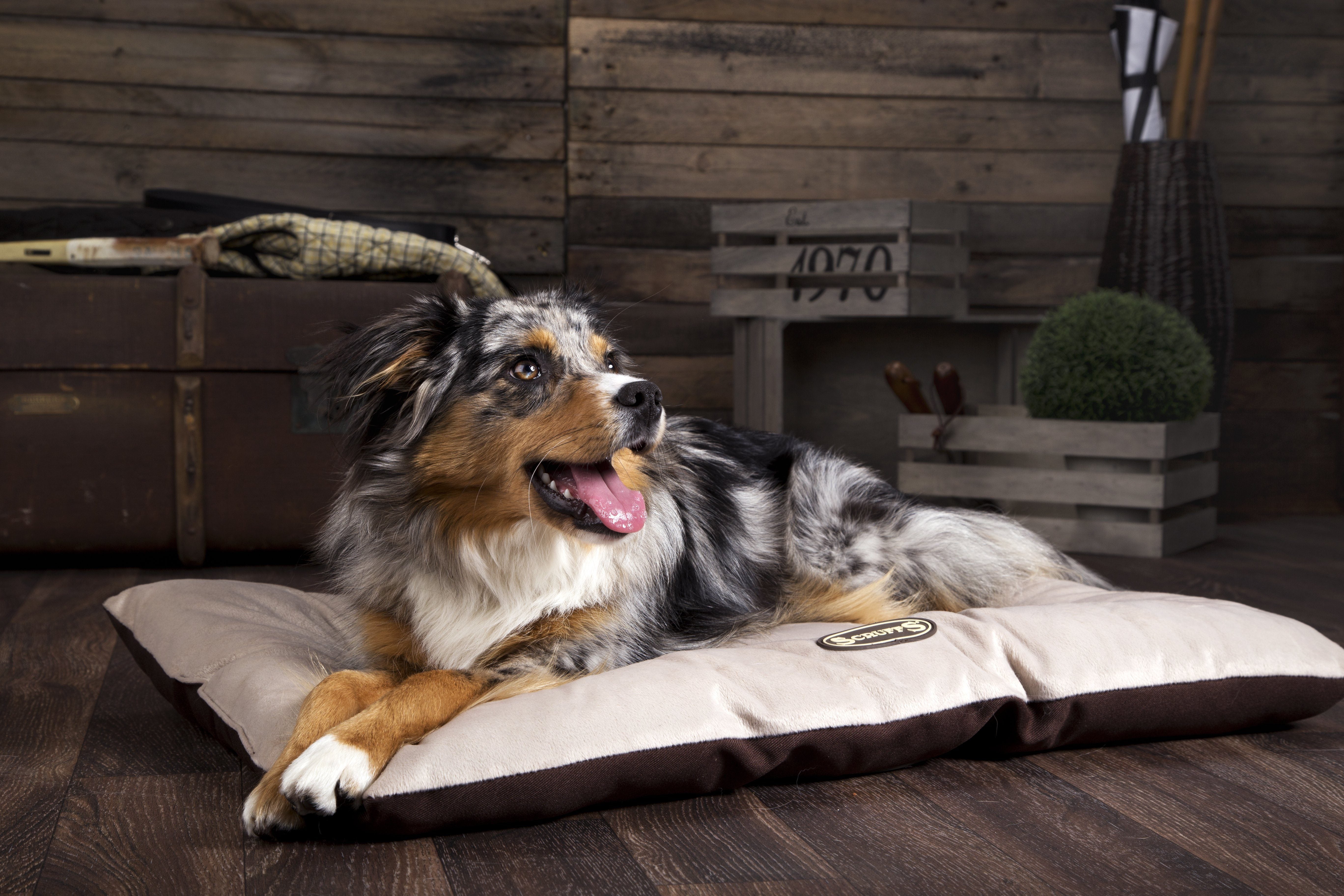 Scruffs® Offer Support to Several Charities in July