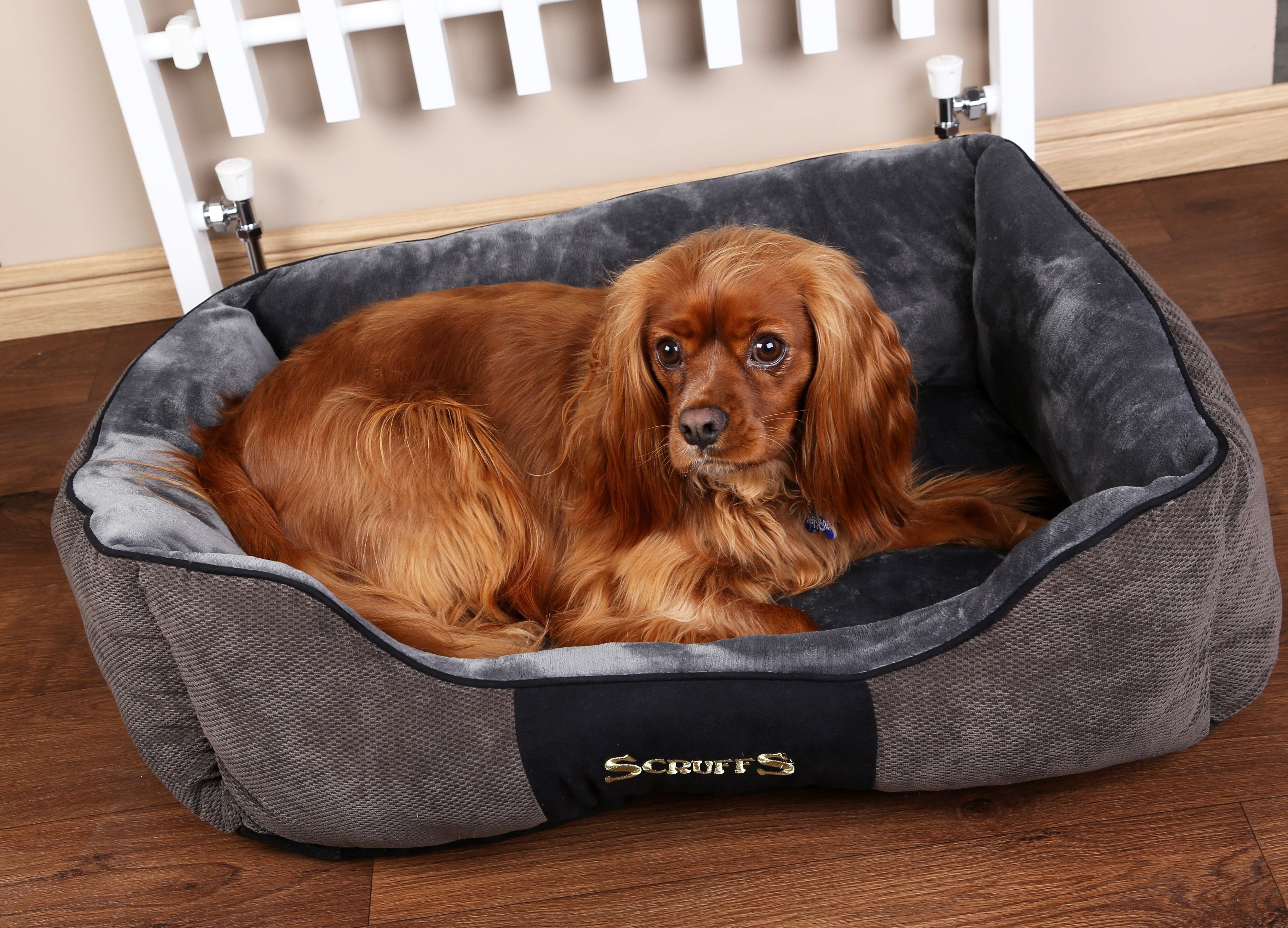 #WIN with Scruffs® this August!