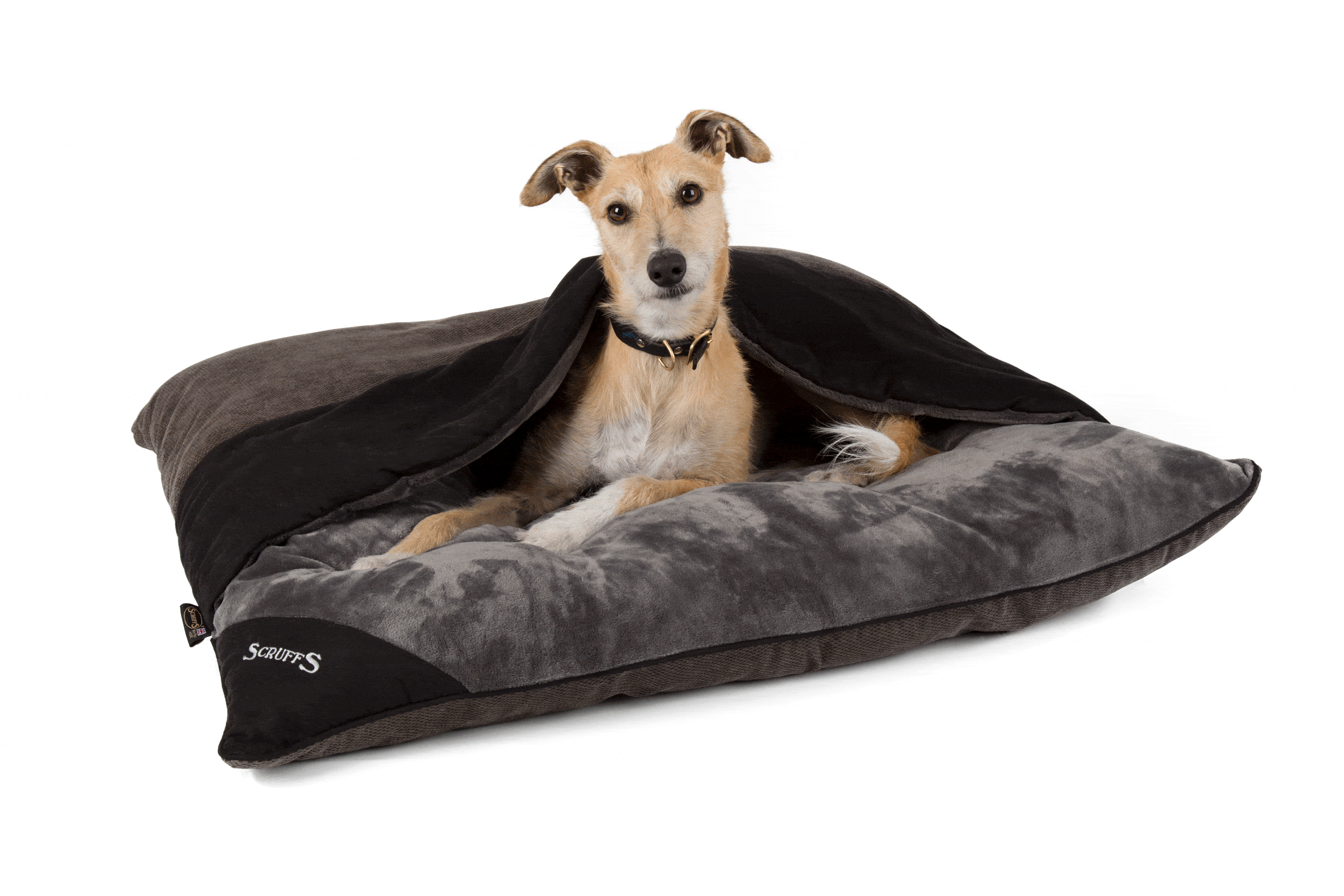 #ScruffsLoves: Our Top Choices for March 2018