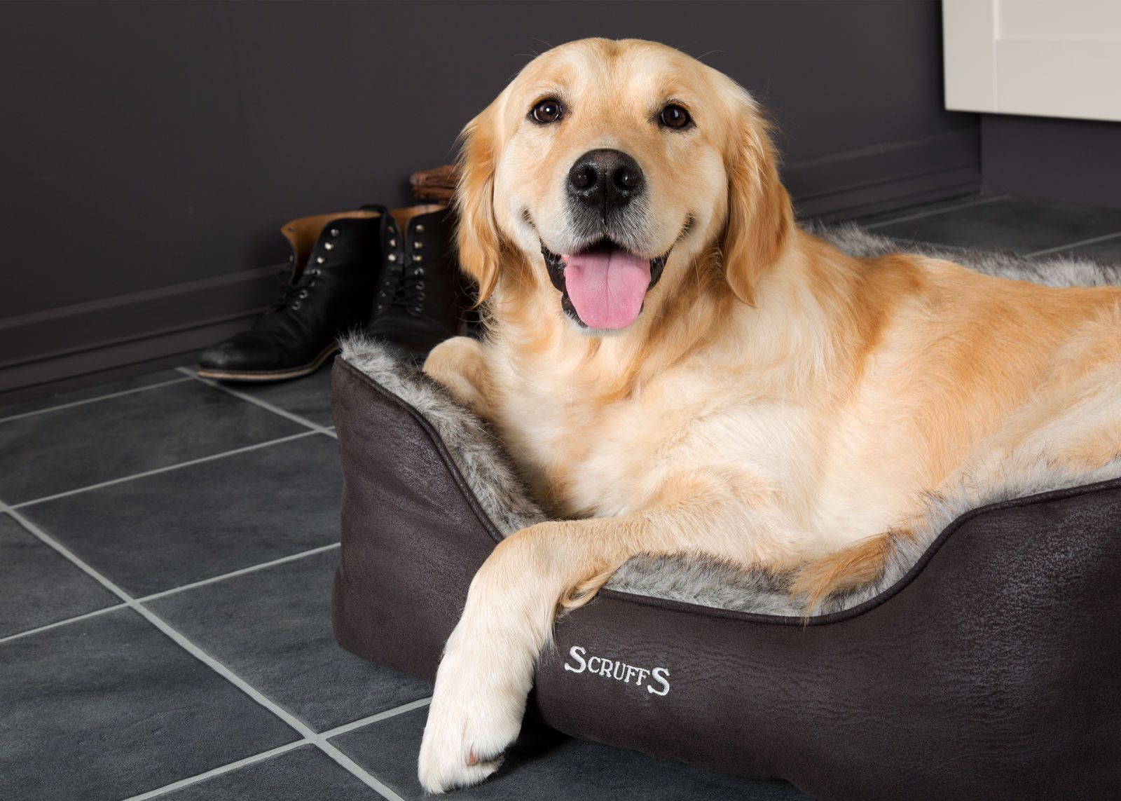 #ScruffsLoves: Our Top Picks for November 2018