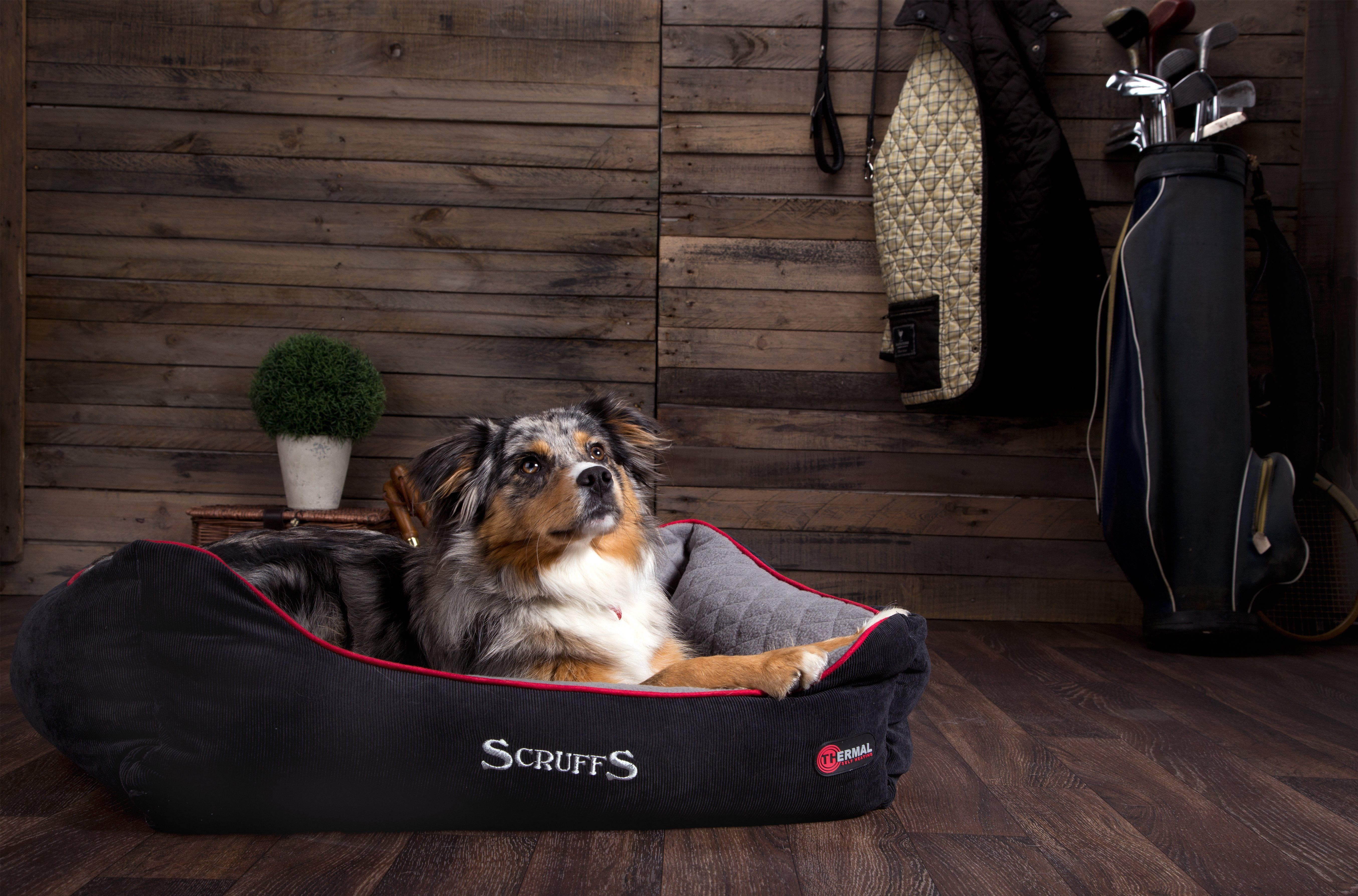 Why Should I Choose a Thermal Bed?