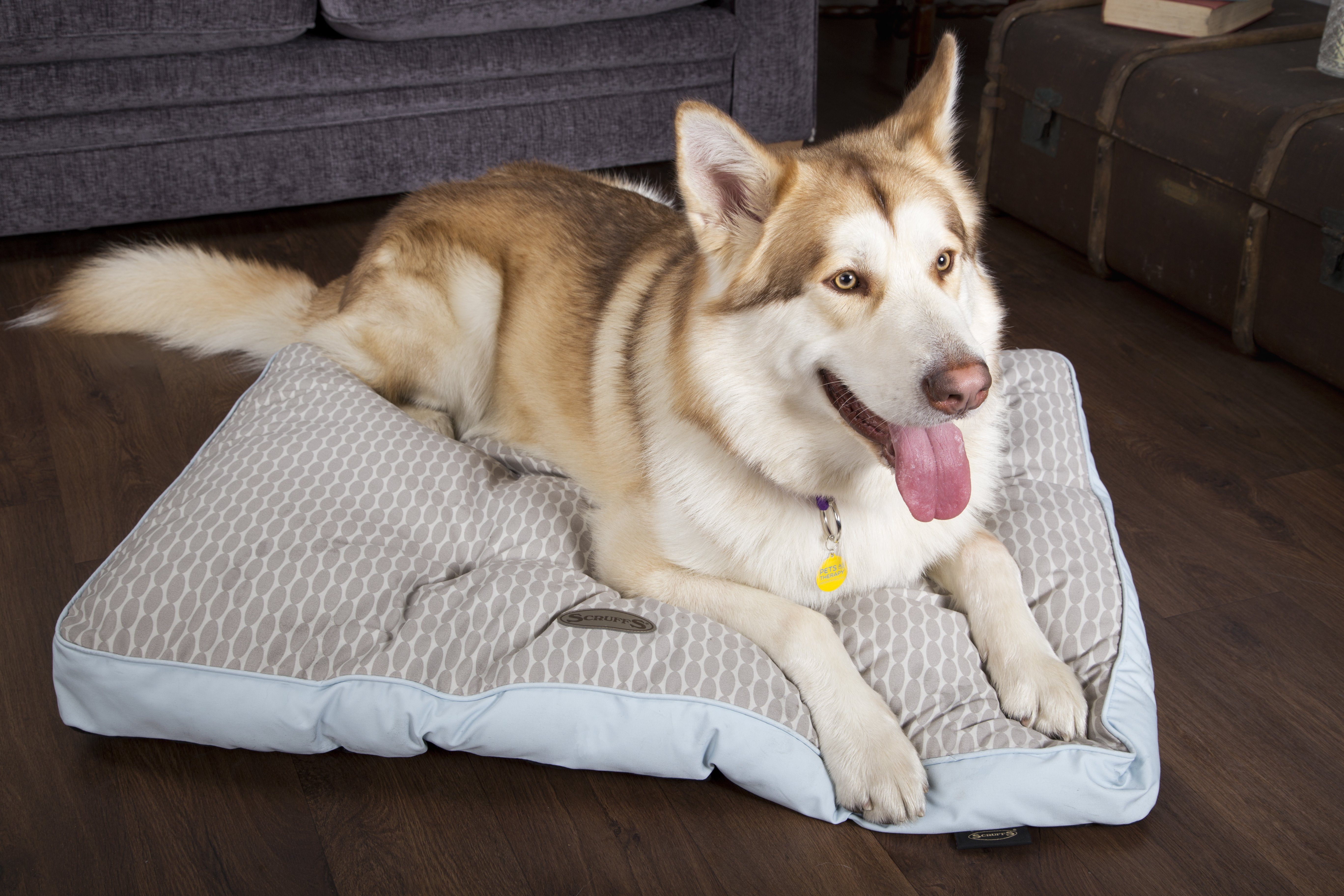 #ScruffsLoves: Our Recommendations For May 2018