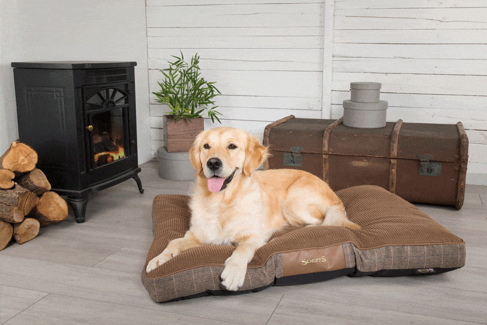 A Windsor Wonderland...