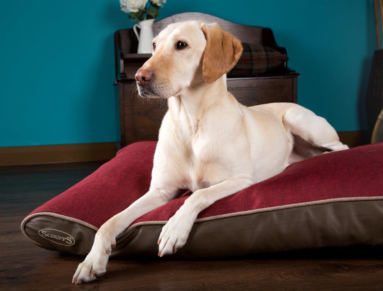 Scruffs Hilton Memory Foam Mattress
