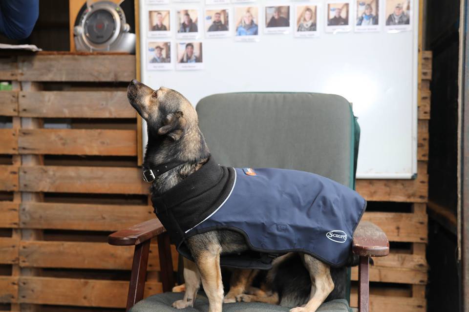 Scruffs® Donate Thermal Jackets to Rescue Centre