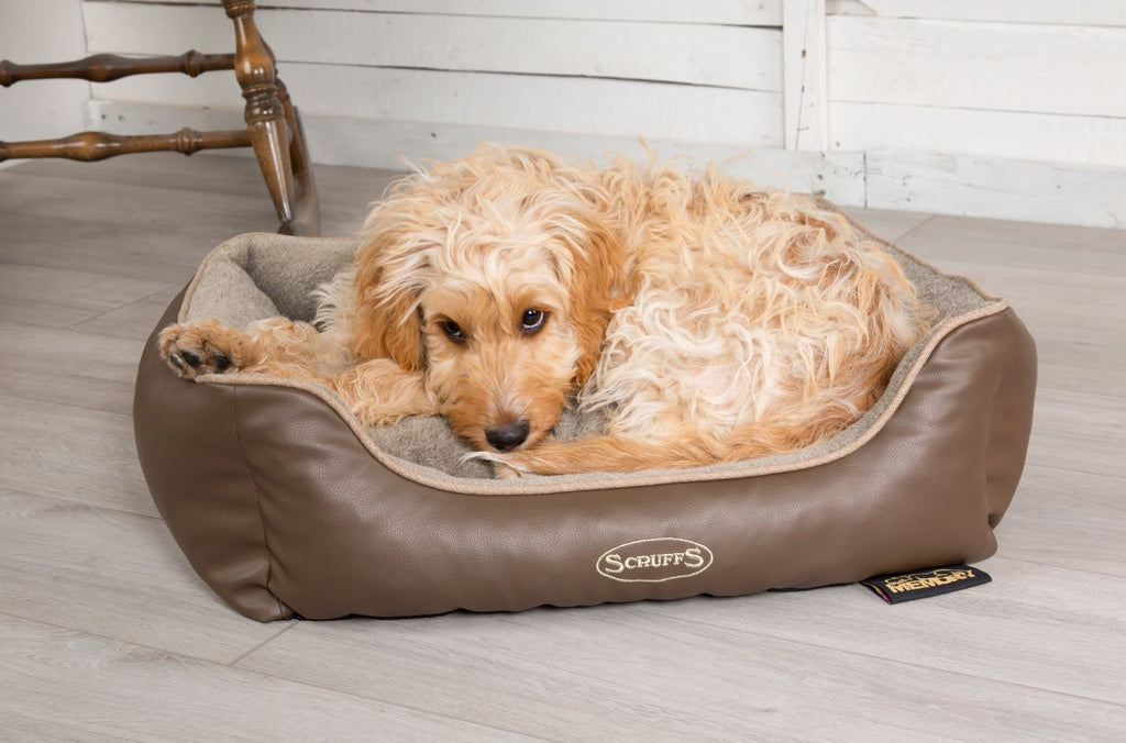 The Ultimate Dog Bedding Guide