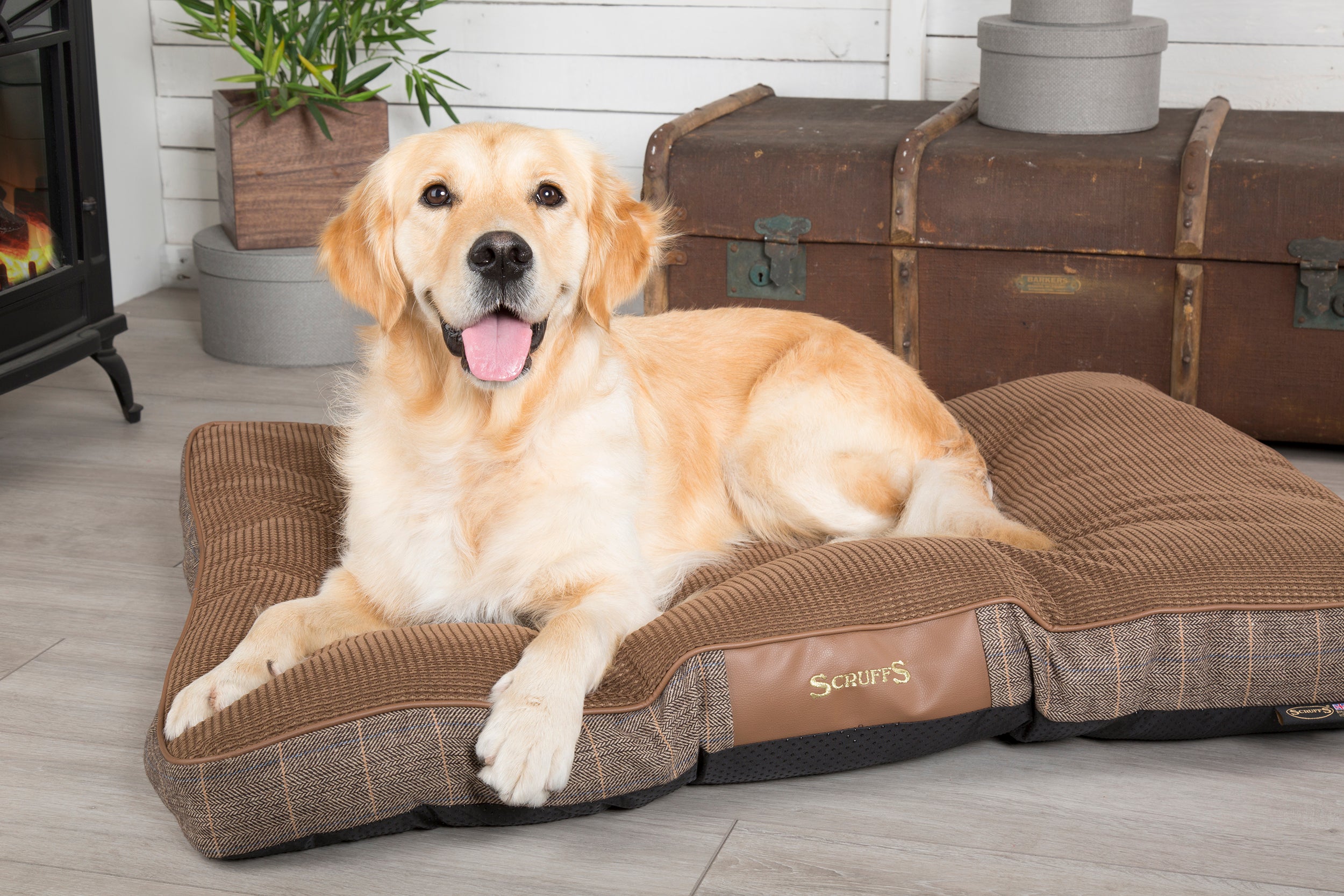 #WIN with Scruffs® this September