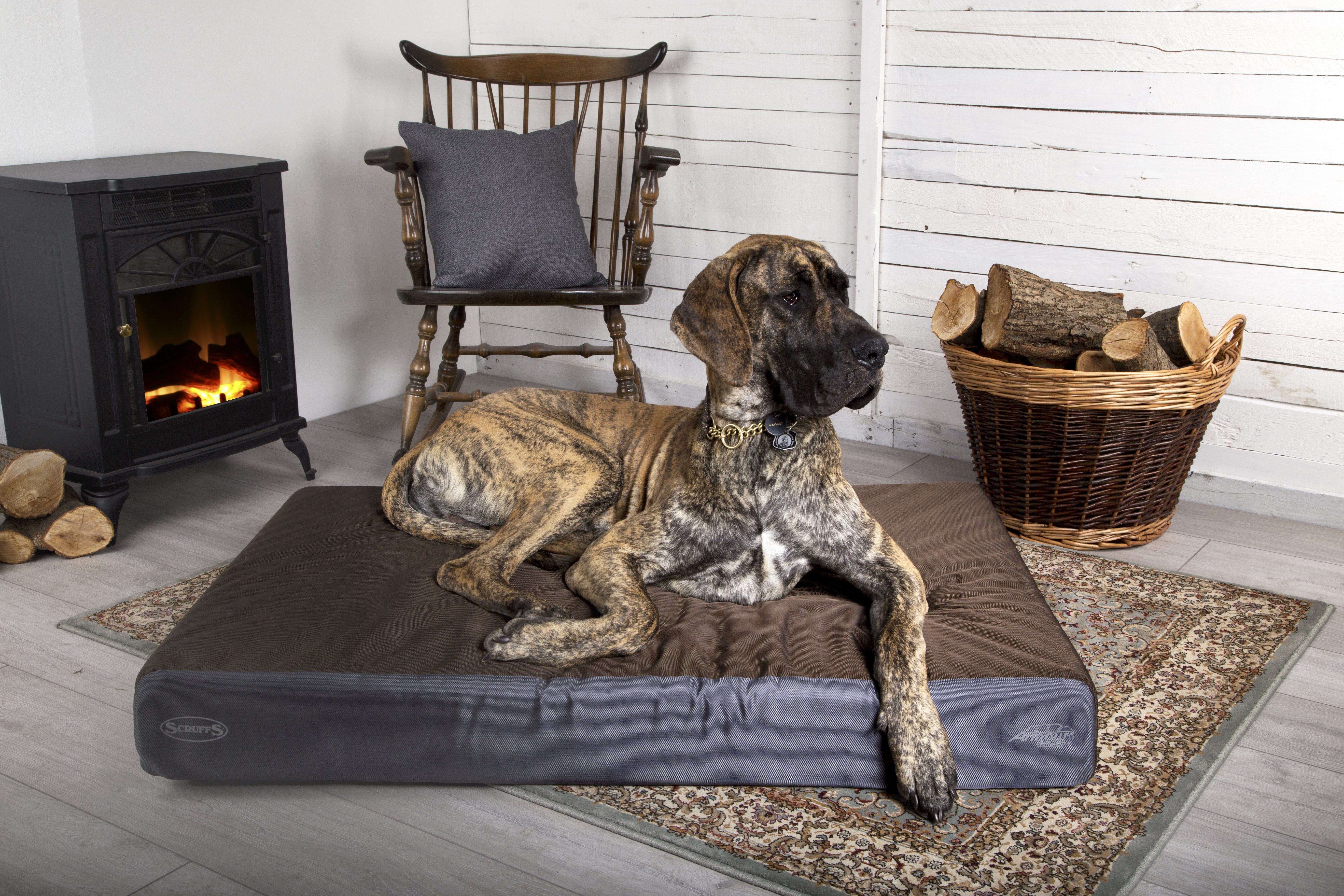 Win with Scruffs® this November!