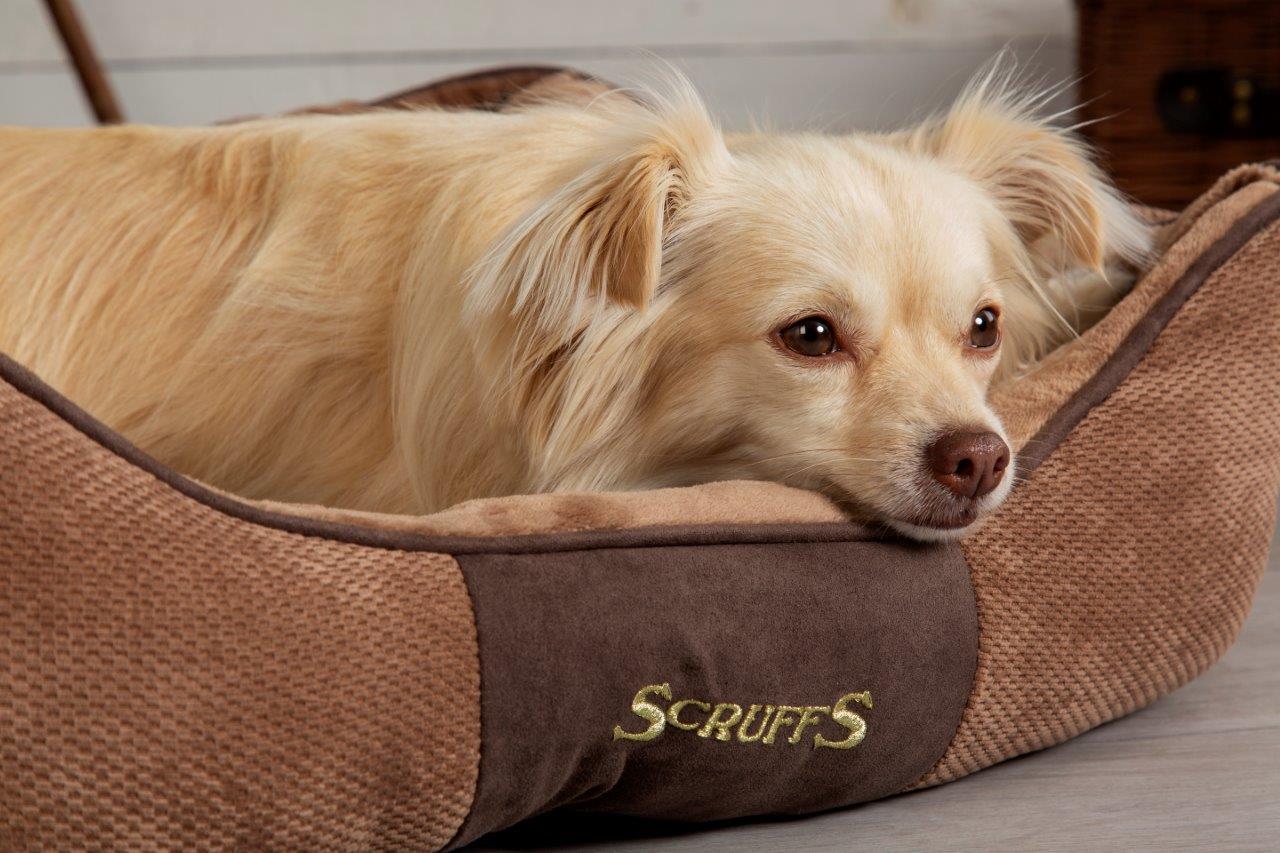 WIN £200 OF PREMIER COTTAGES' VOUCHERS, AND A LUXURY SCRUFFS® DOG BED