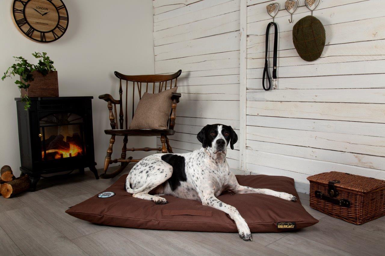 Memory Foam Pet Bedding from ScruffsⓇ