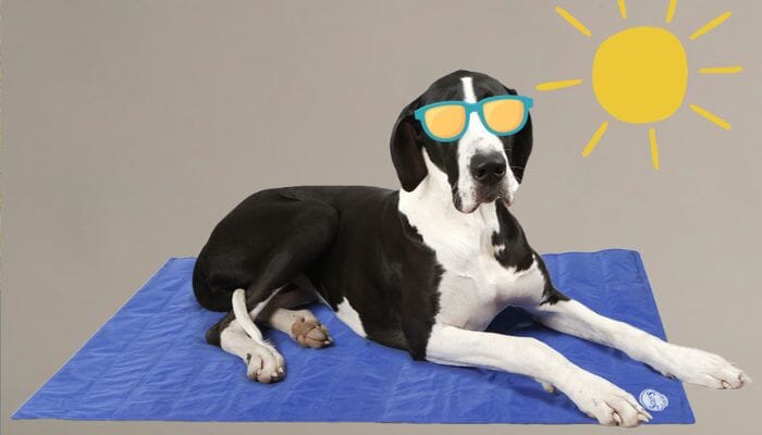 It's Competition Time ❄️ COOL GIVEAWAY ALERT ❄️ Win with Scruffs