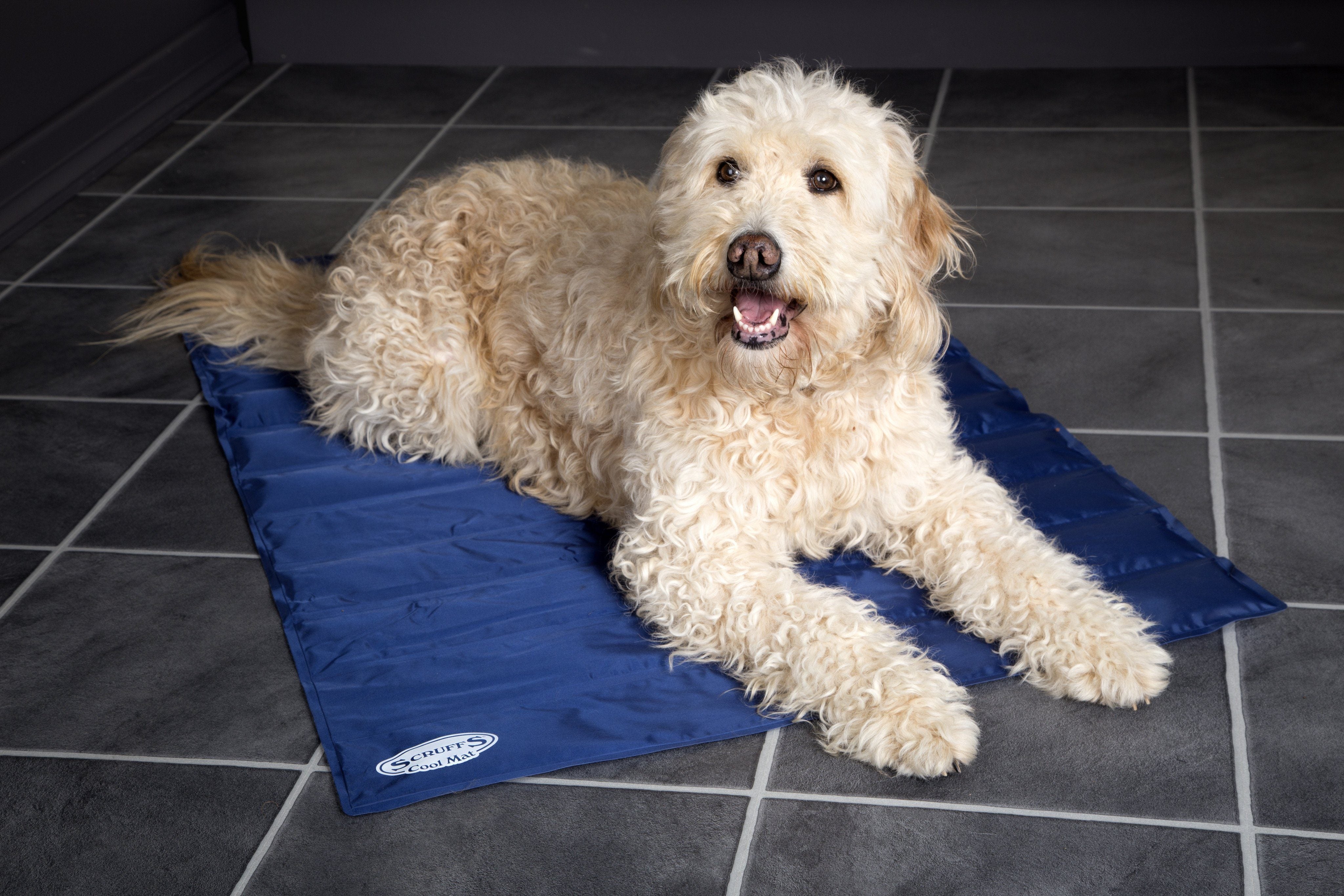 Keep Cool & Carry On with Scruffs®