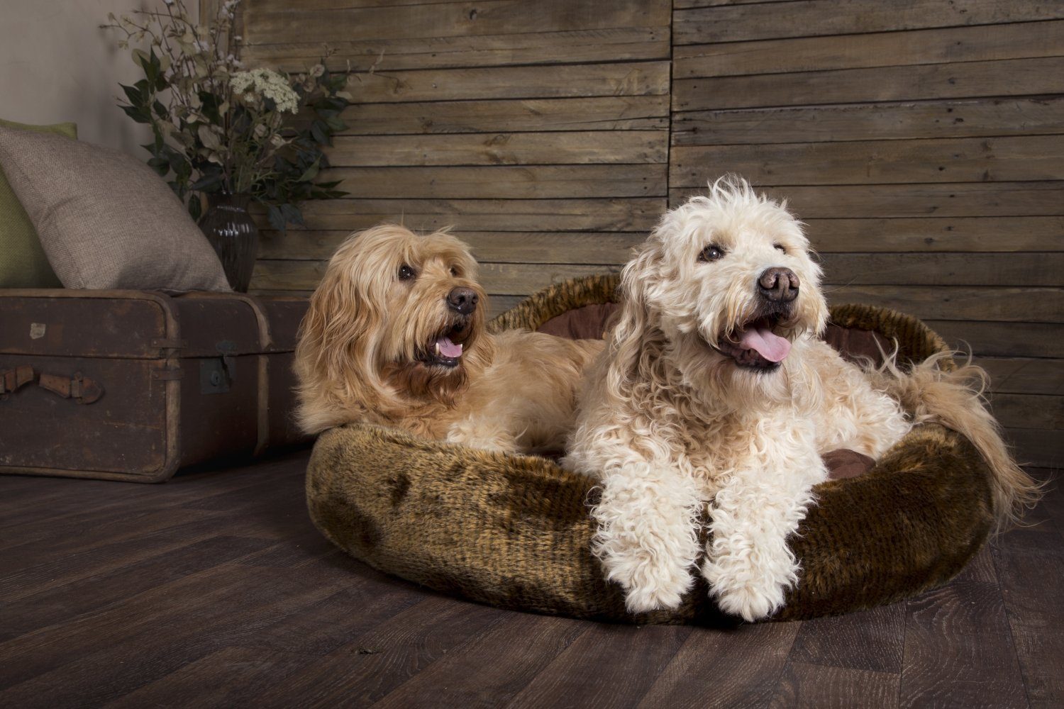 Scruffs® Offer Support to Several Charities in January