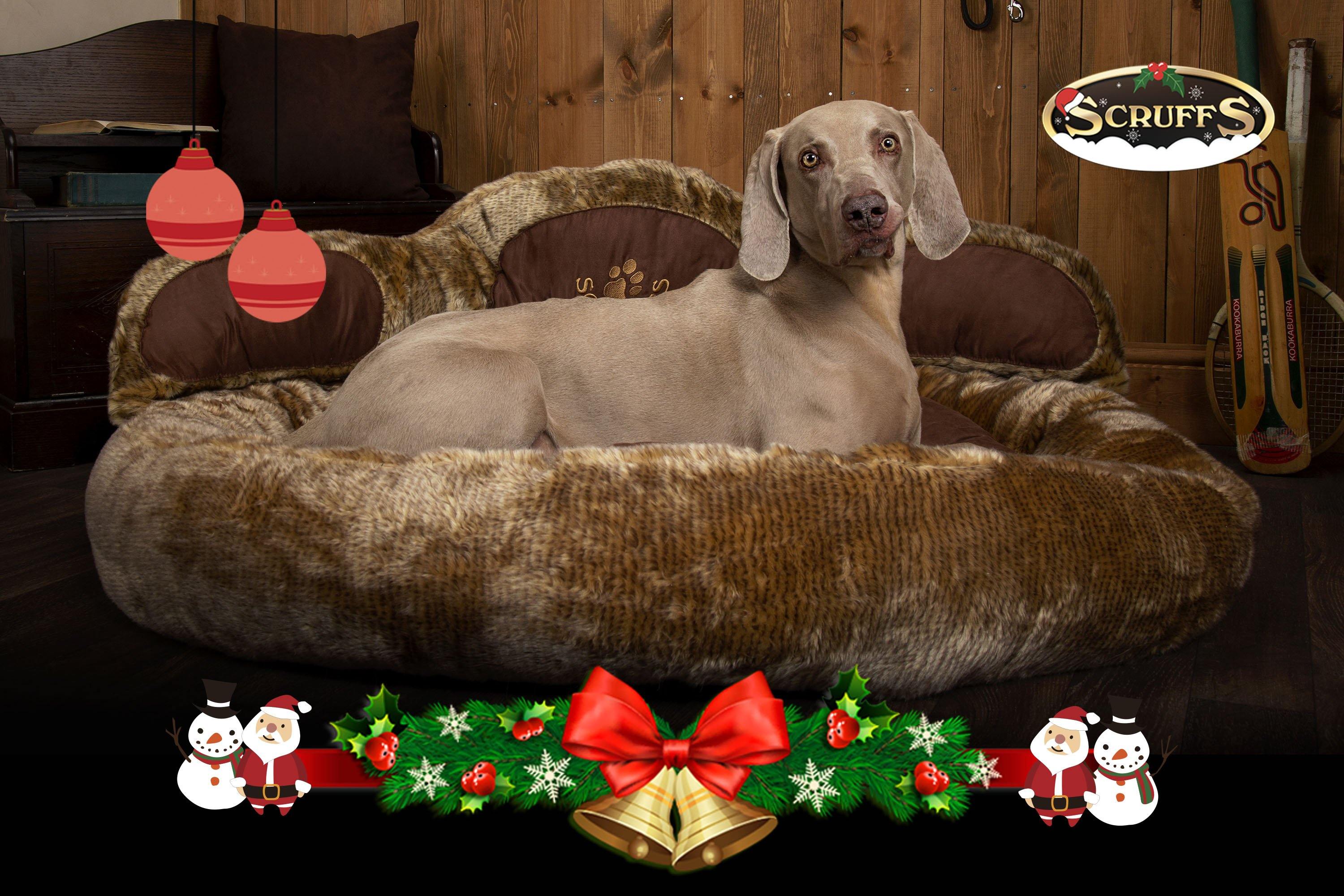 Scruffs® Offer Over £1,200 worth of Prizes in Christmas Giveaway