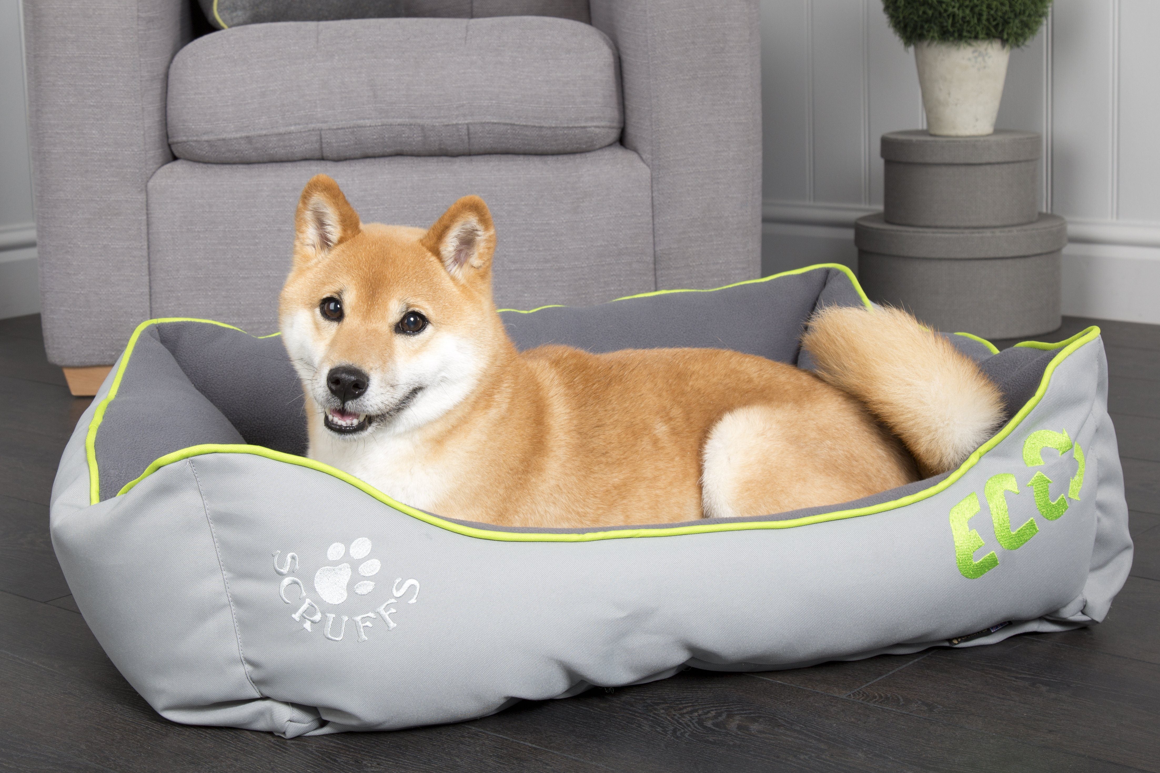 #ScruffsLoves: Our Recommendations for August 2018