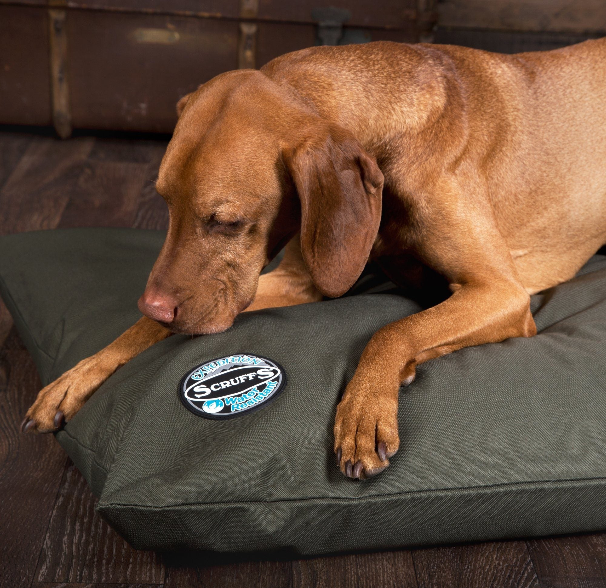 Why Should I Choose an Expedition Bed?