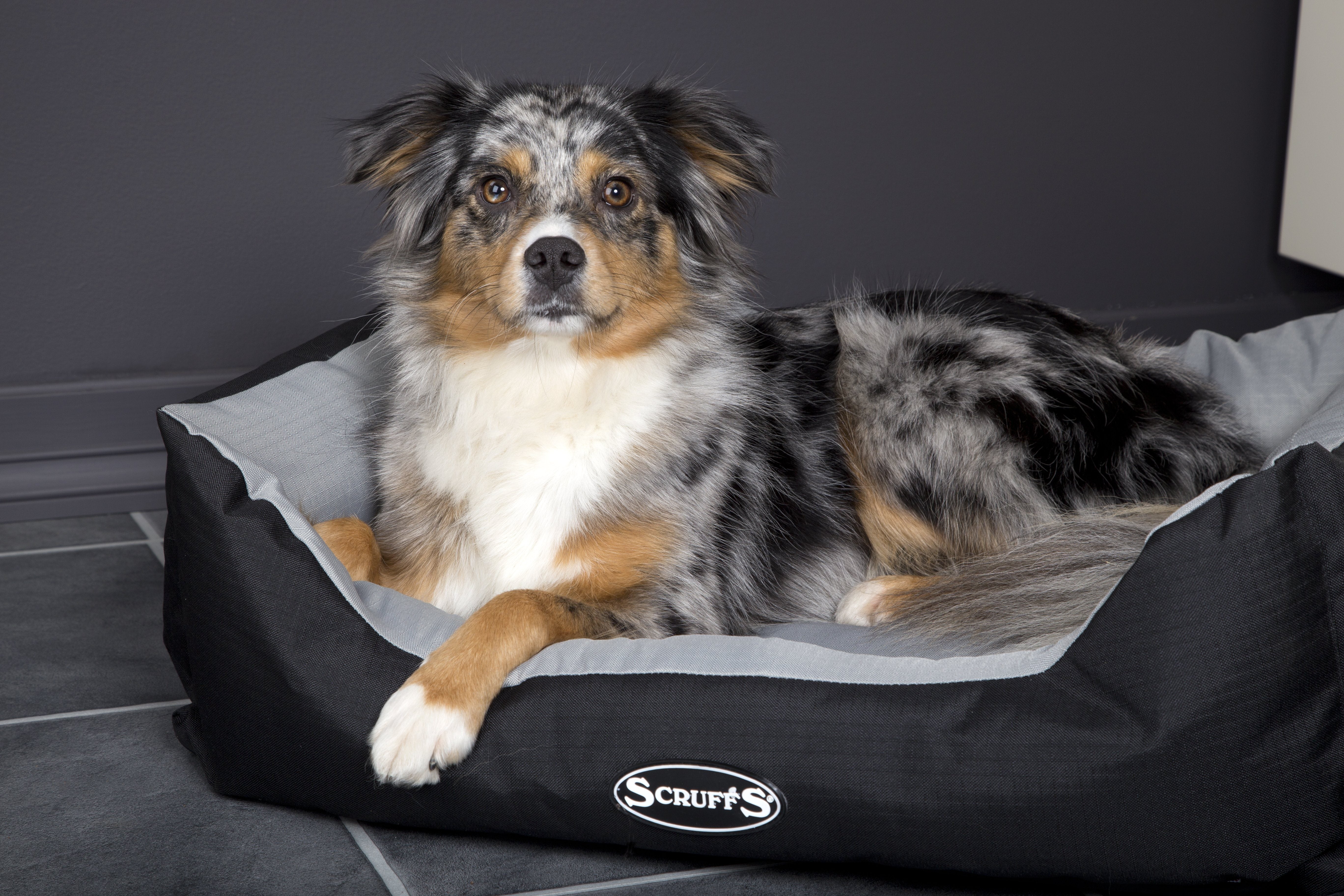 Expedition Water-resistant Bedding