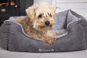#ScruffsLoves: Water-Resistant Bedding, the Luxury Ellen, Thermal Blankets & Brand New Cosy Beds Make our Must-Have List for February 2019