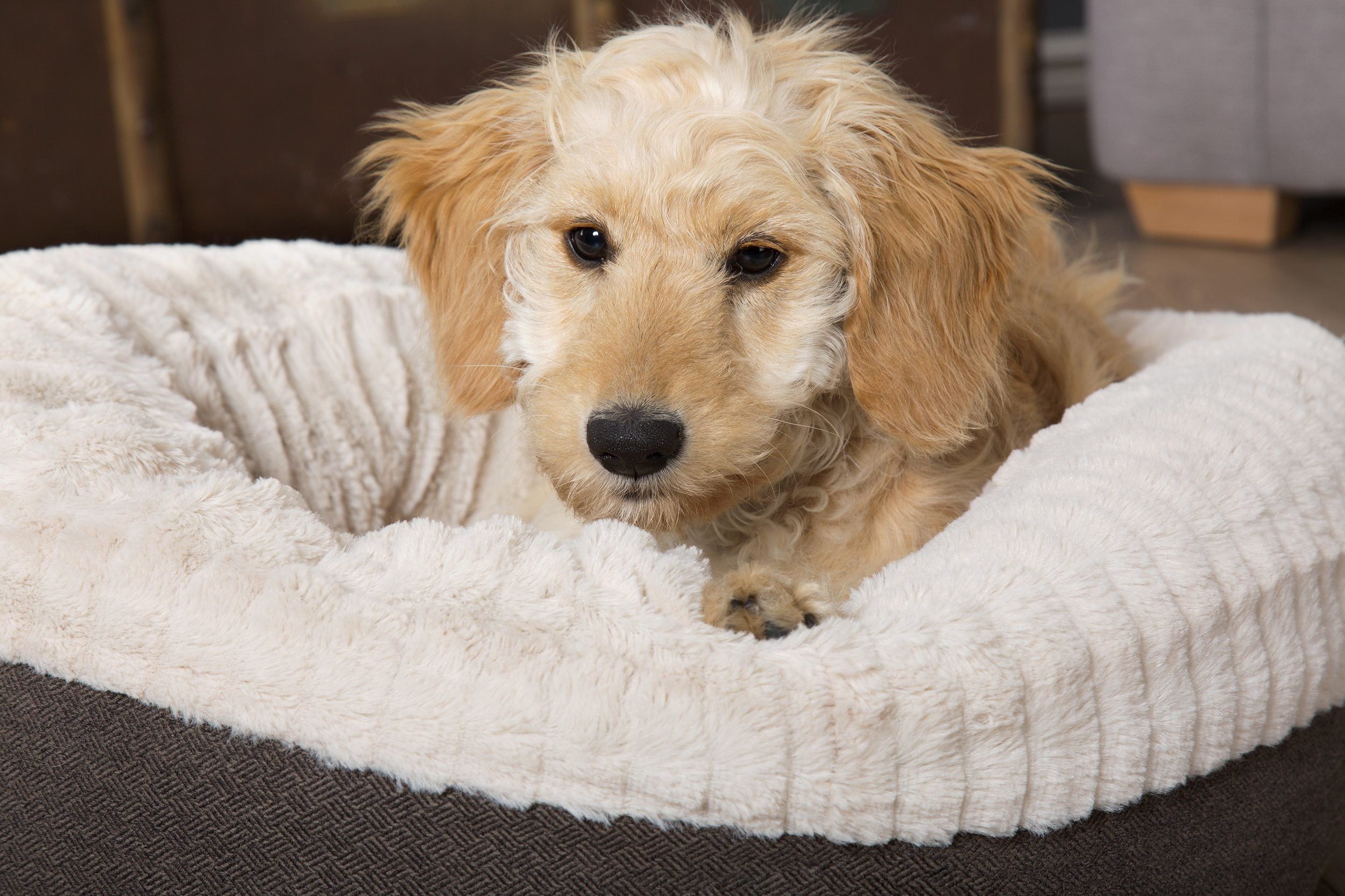 Get Set for Winter with the Scruffs® Ellen Bedding Collection