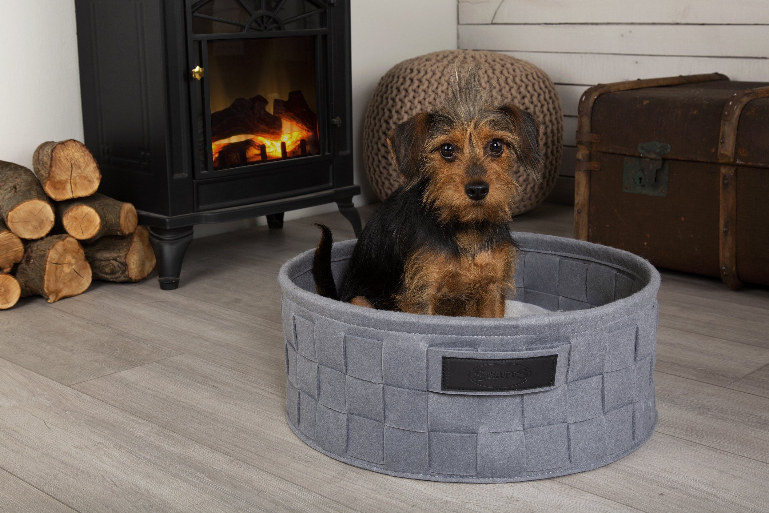 Puppy Bed Shopping this February?