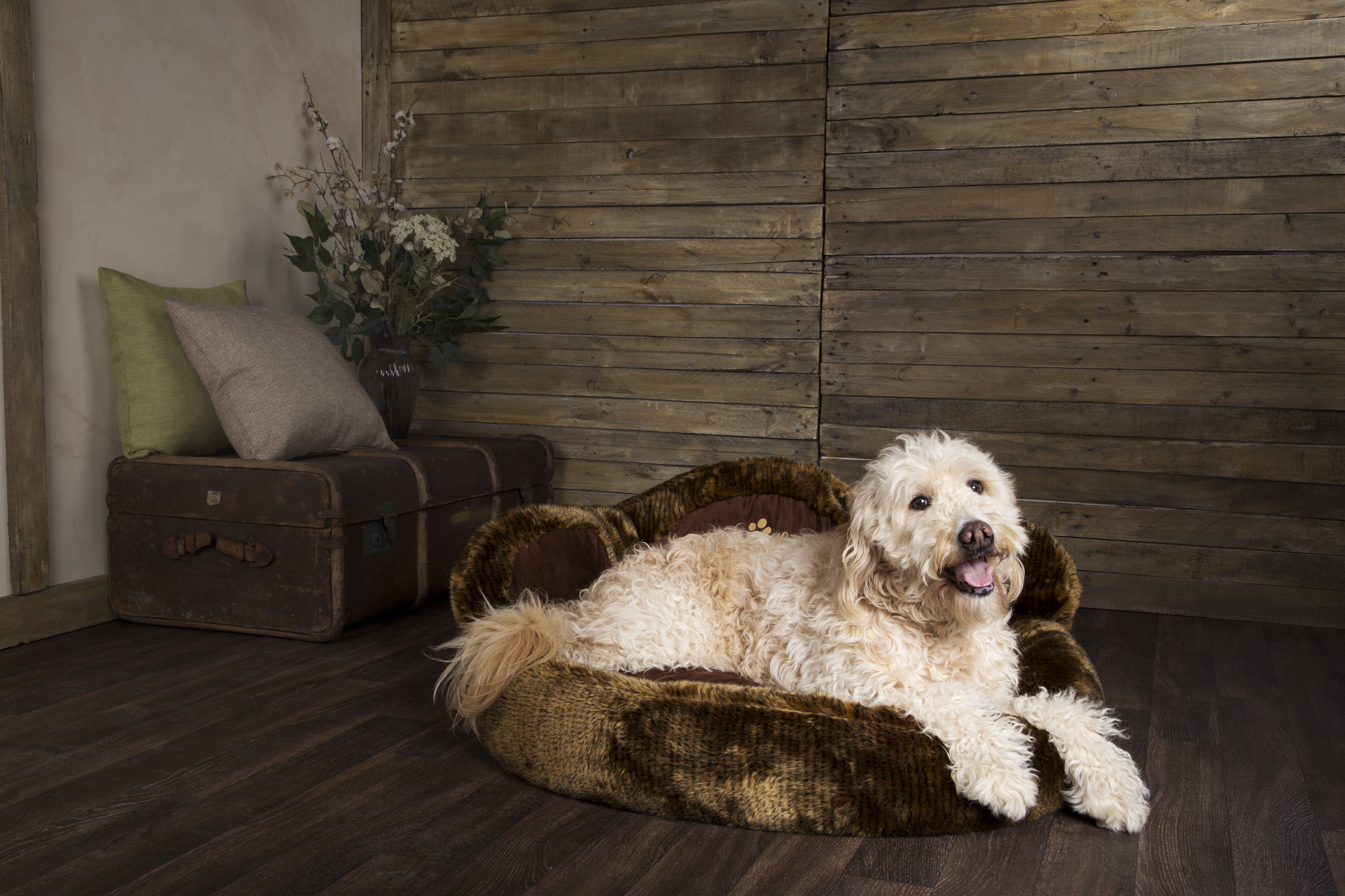 #WIN with Scruffs® this July!